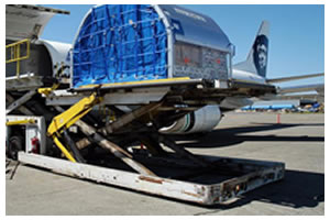 Air Freight